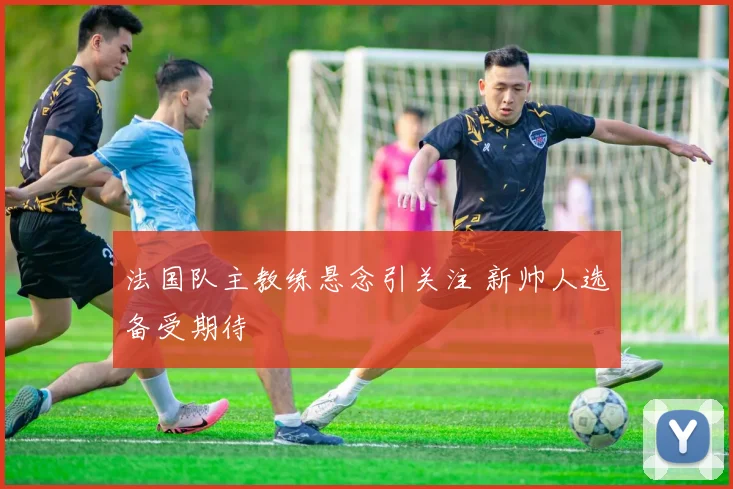 法国队主教练悬念引关注 新帅人选备受期待